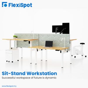 flexispot my