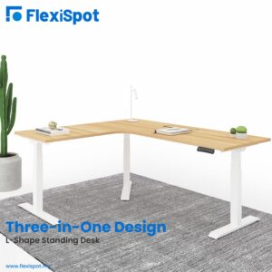 flexispot my